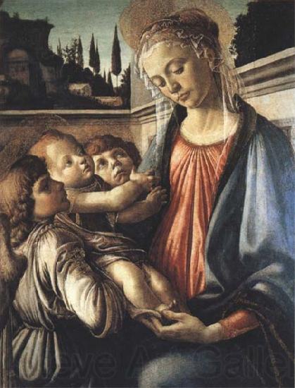 Sandro Botticelli Madonna and Child with two Angels Spain oil painting art